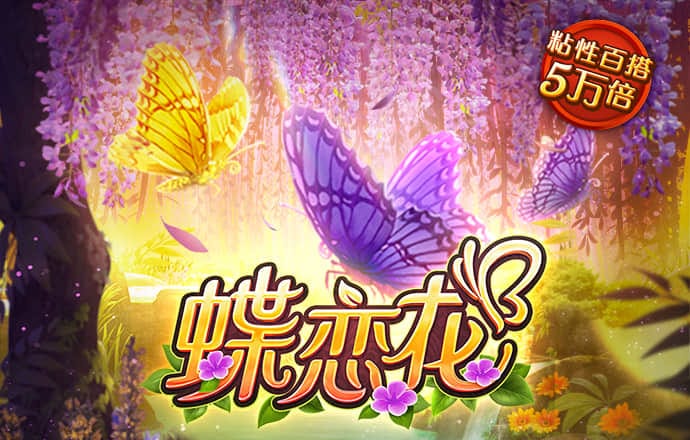 下载355彩票平台